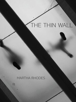 cover image of The Thin Wall